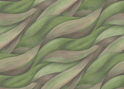Vliestapete Textures of Nature - Wellen Schilf