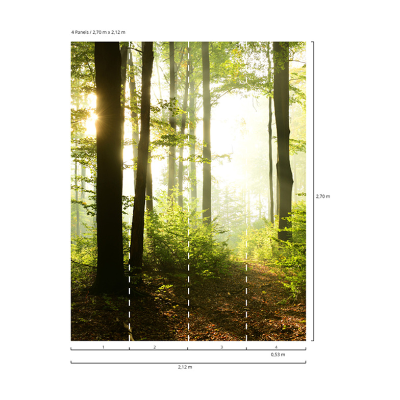 Vliestapete Digitaldruck - Buchen im Licht Grün/Braun