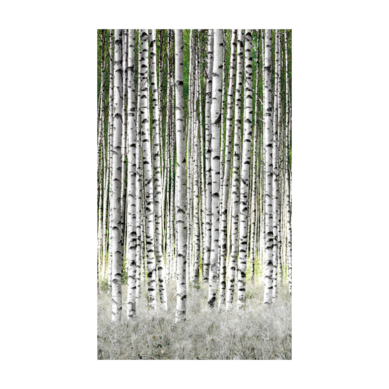 Vliestapete Digitaldruck - Birkenwäldchen Weiß/Grün