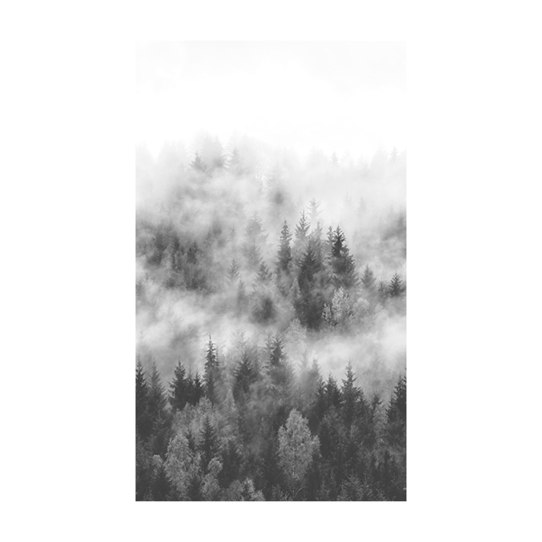 Smart Art Basic Digitaldruck - Waldmystik 2