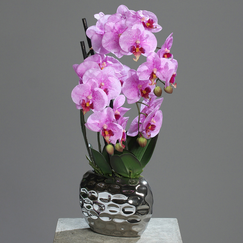 Deko-Orchidee 'Fresh' Pink