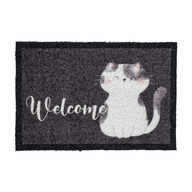 Creation Welcome Cat