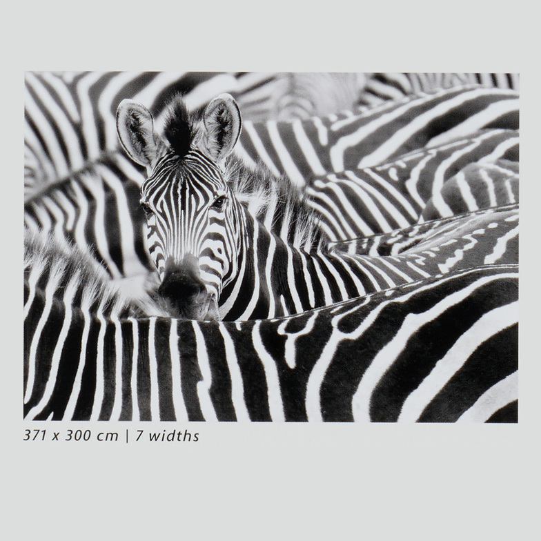 Outback 2 Digitaldruck - Zebraherde Schwarz/Weiß