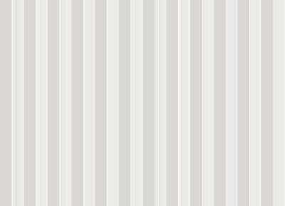 Vliestapete Primavera - Streifen Silbergrau/Weiß