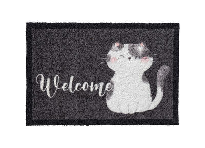 Creation Welcome Cat