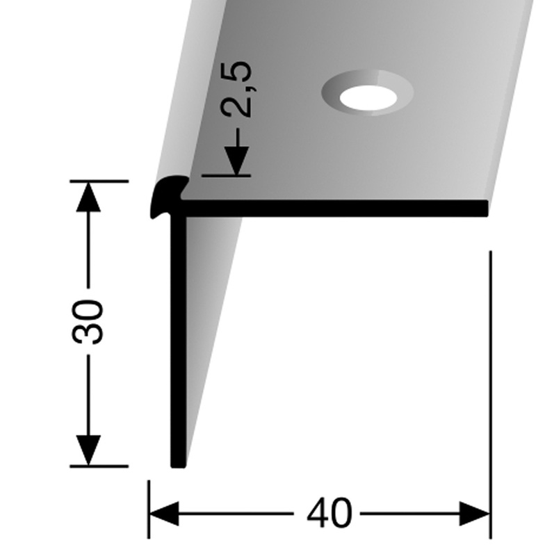 Küberit Treppenkantenprofil 870 Länge 250cm